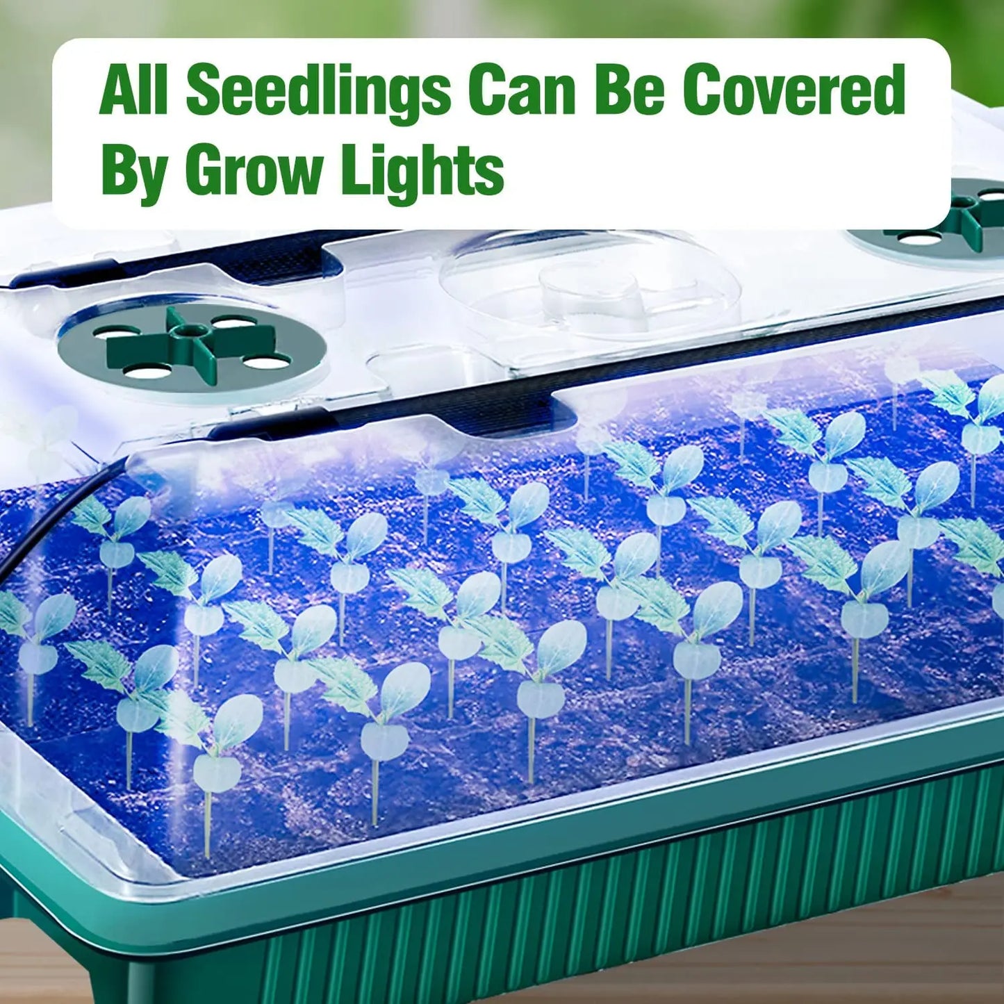 LED Grow Light Seed Starter Trays with High Dome - 80 Cell Seedling Kit, Smart Timer & Garden Tools for Home Gardening
