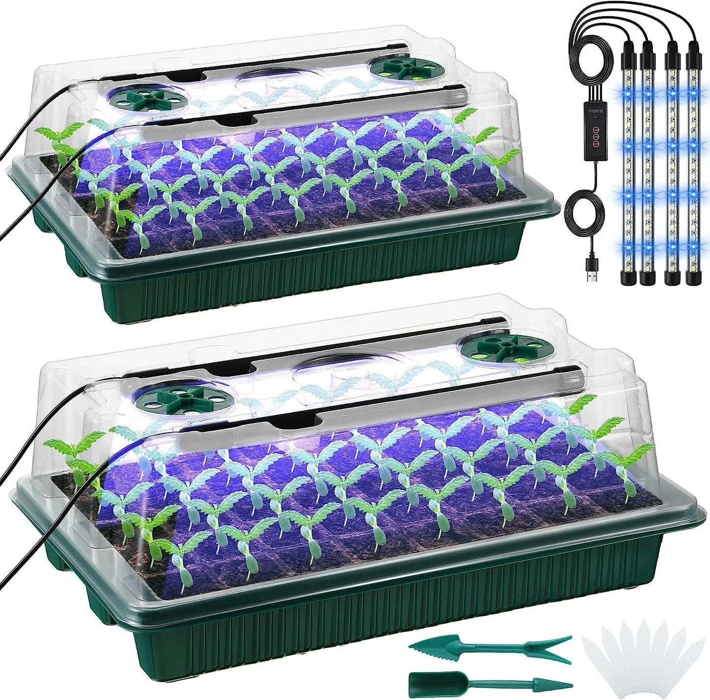 LED Grow Light Seed Starter Trays with High Dome - 80 Cell Seedling Kit, Smart Timer & Garden Tools for Home Gardening