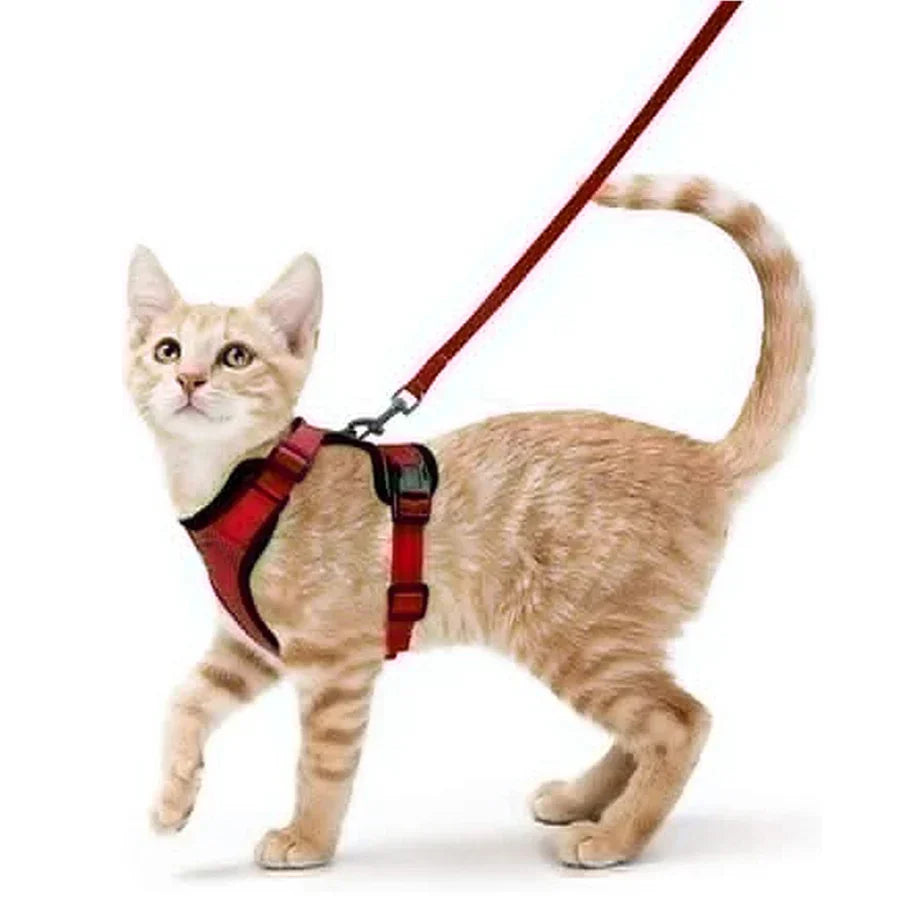 Davy | Soft Adjustable Cat Harness & Leash Set for Safe Walksa