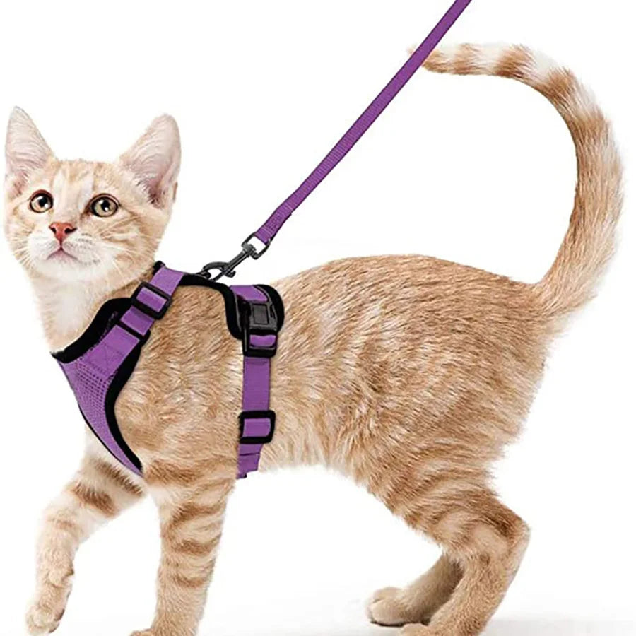Davy | Soft Adjustable Cat Harness & Leash Set for Safe Walksa