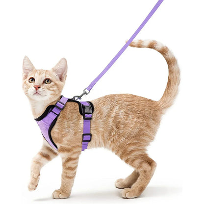 Davy | Soft Adjustable Cat Harness & Leash Set for Safe Walksa