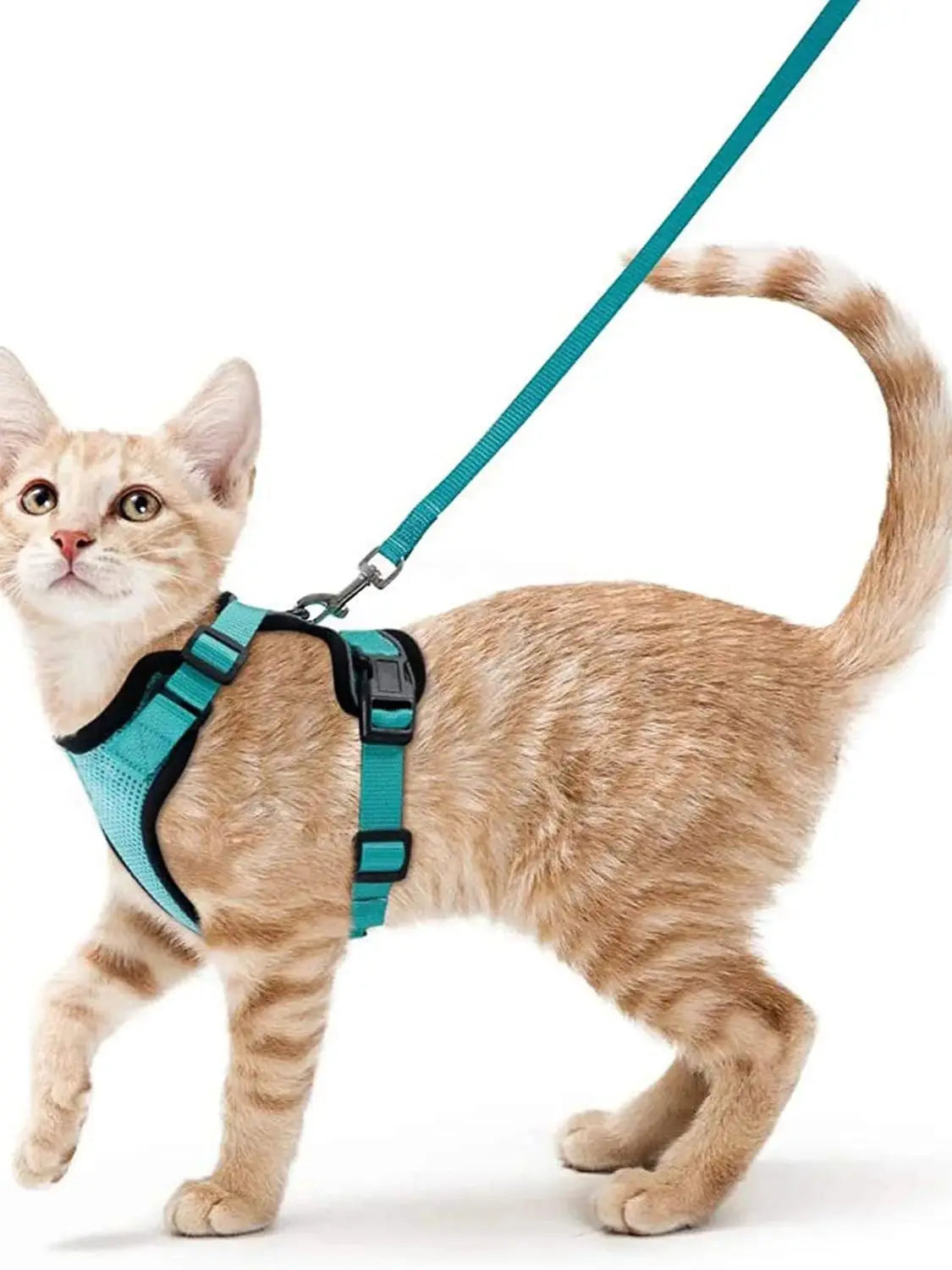 Davy | Soft Adjustable Cat Harness & Leash Set for Safe Walksa