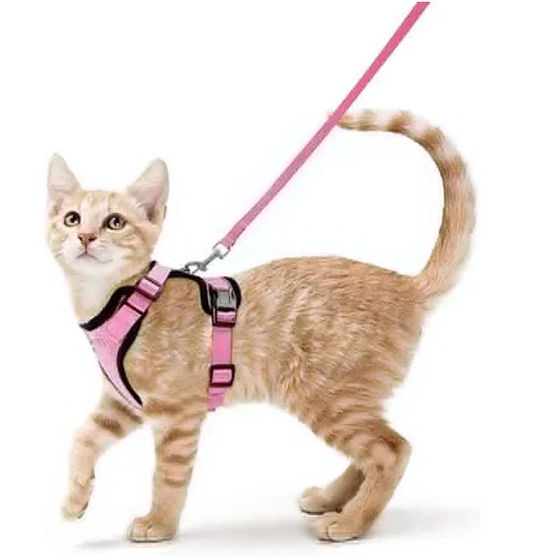Davy | Soft Adjustable Cat Harness & Leash Set for Safe Walksa
