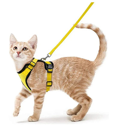 Davy | Soft Adjustable Cat Harness & Leash Set for Safe Walksa