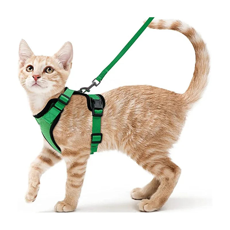 Davy | Soft Adjustable Cat Harness & Leash Set for Safe Walksa