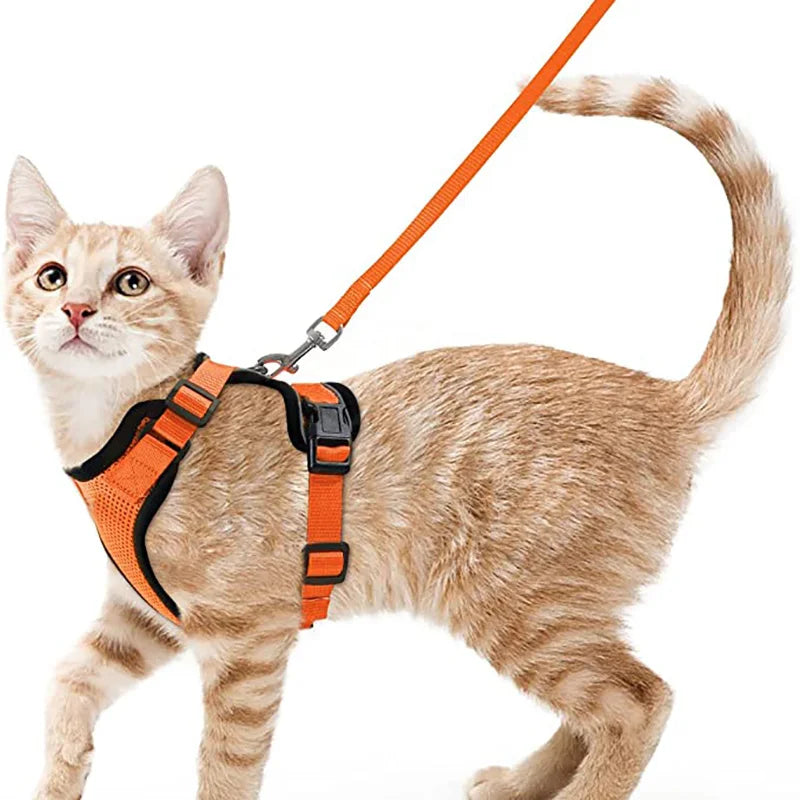 Davy | Soft Adjustable Cat Harness & Leash Set for Safe Walksa