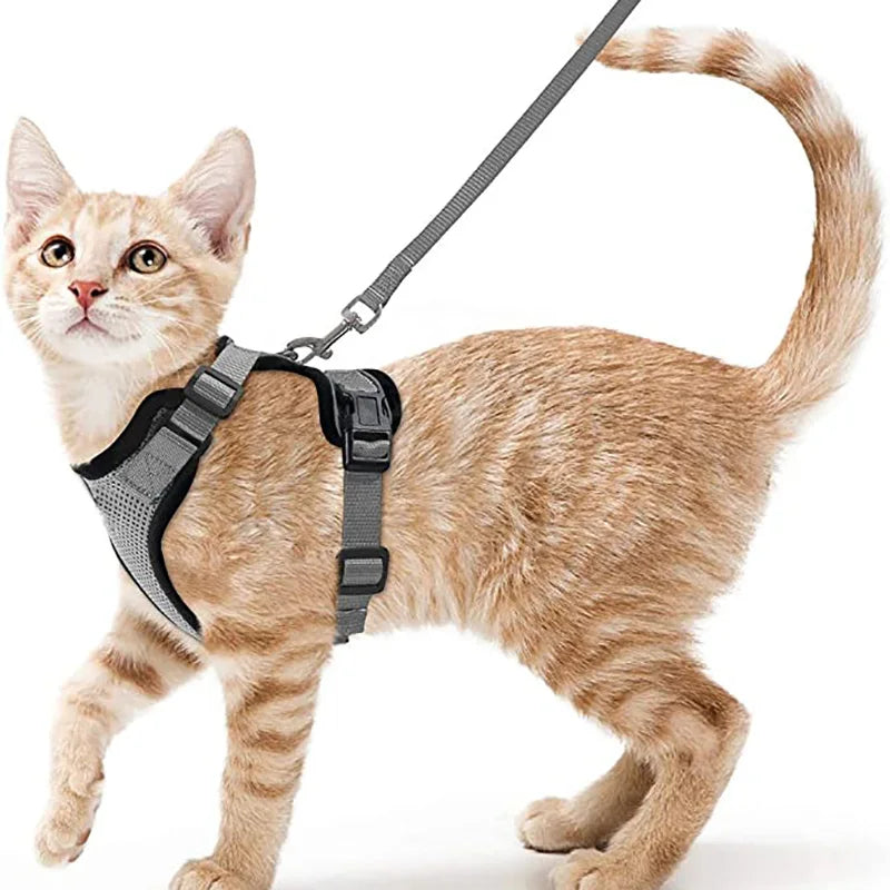 Davy | Soft Adjustable Cat Harness & Leash Set for Safe Walksa