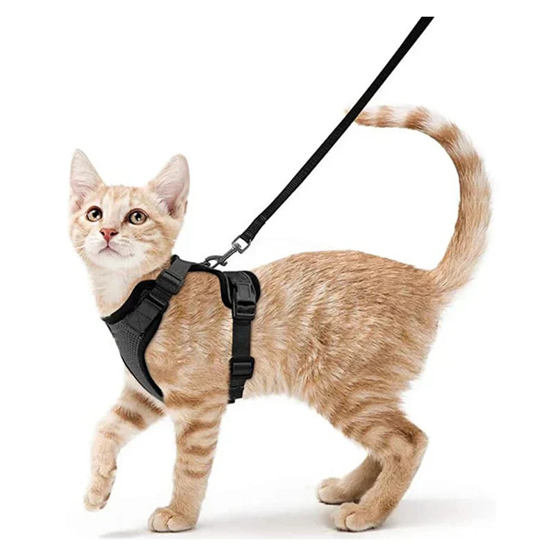 Davy | Soft Adjustable Cat Harness & Leash Set for Safe Walksa